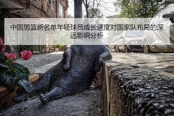 中国男篮新名单年轻球员成长速度对国家队布局的深远影响分析